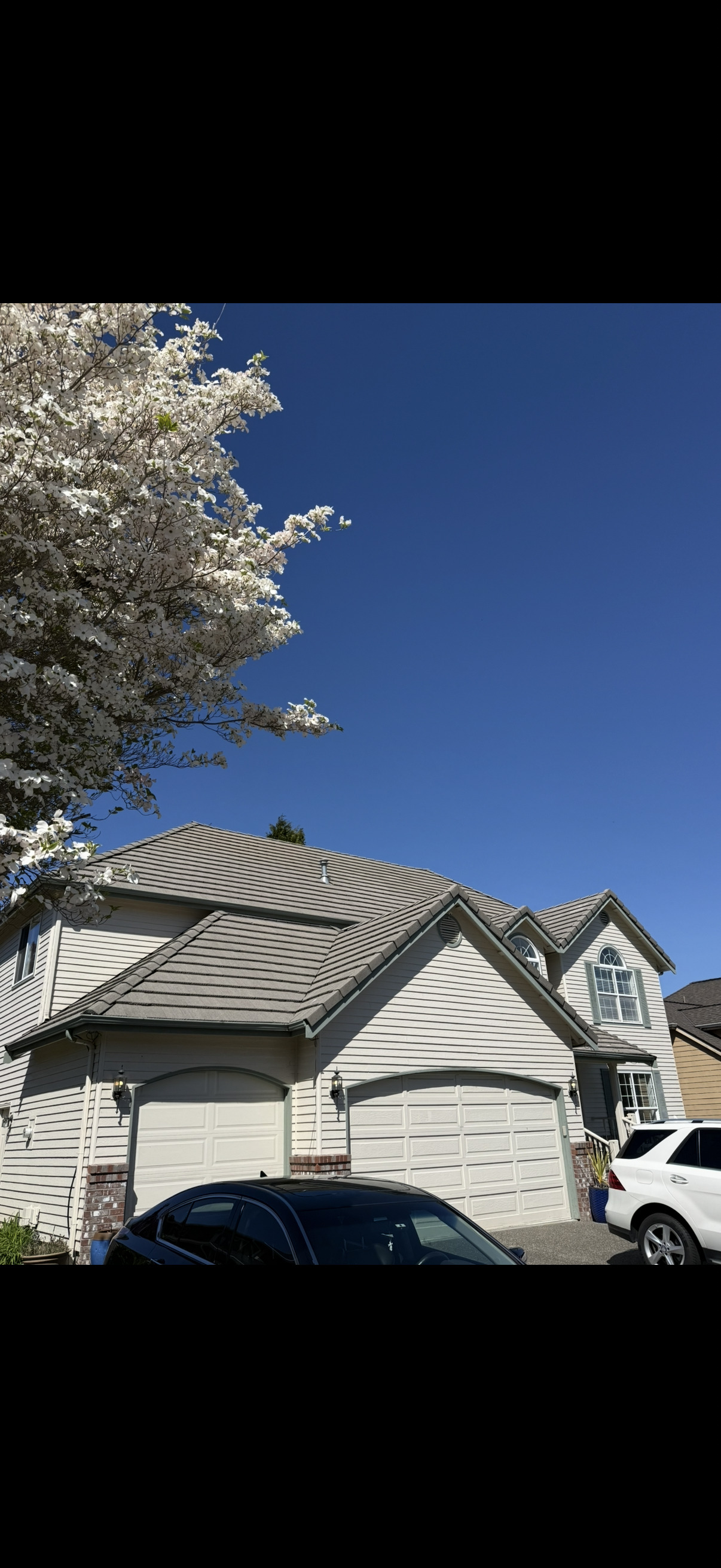 Roof after soft washing
